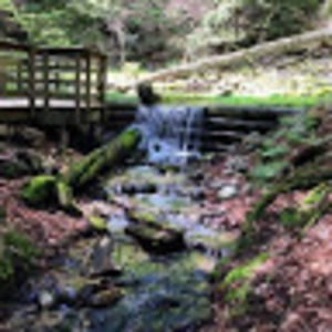 Meet your Posher, Geri